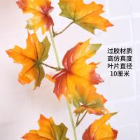 uploads/erp/collection/images/Home Garden/CongDing/XU0612032/img_b/XU0612032_img_b_3